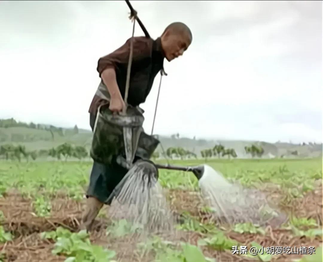 食人狂魔细伟真实事件解说,食人魔细伟现状