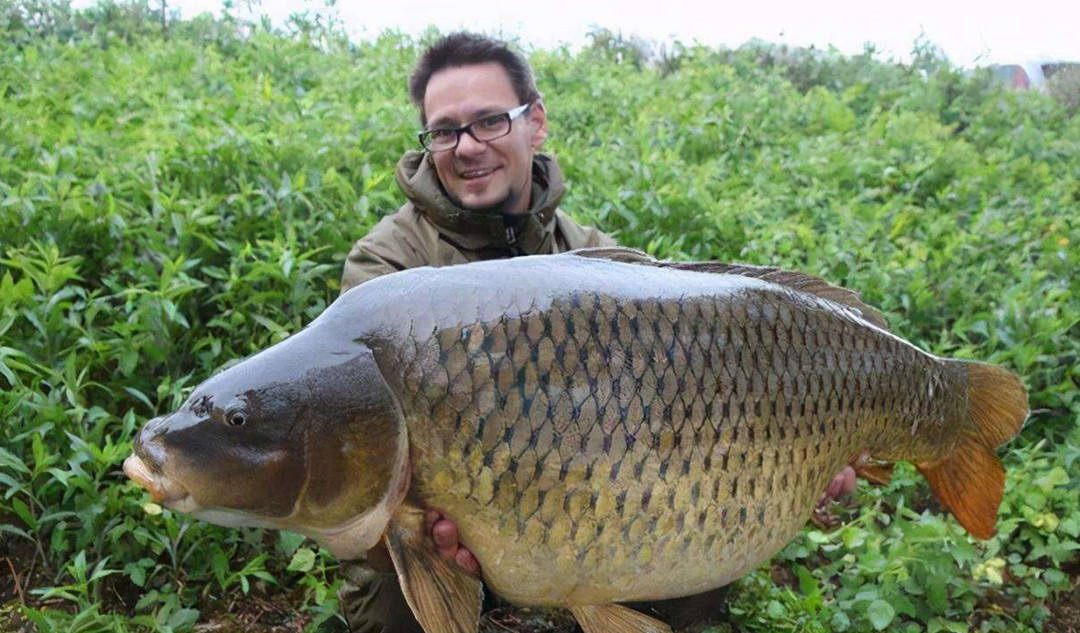 悬赏五百万抓鲤鱼,悬赏20万抓鱼