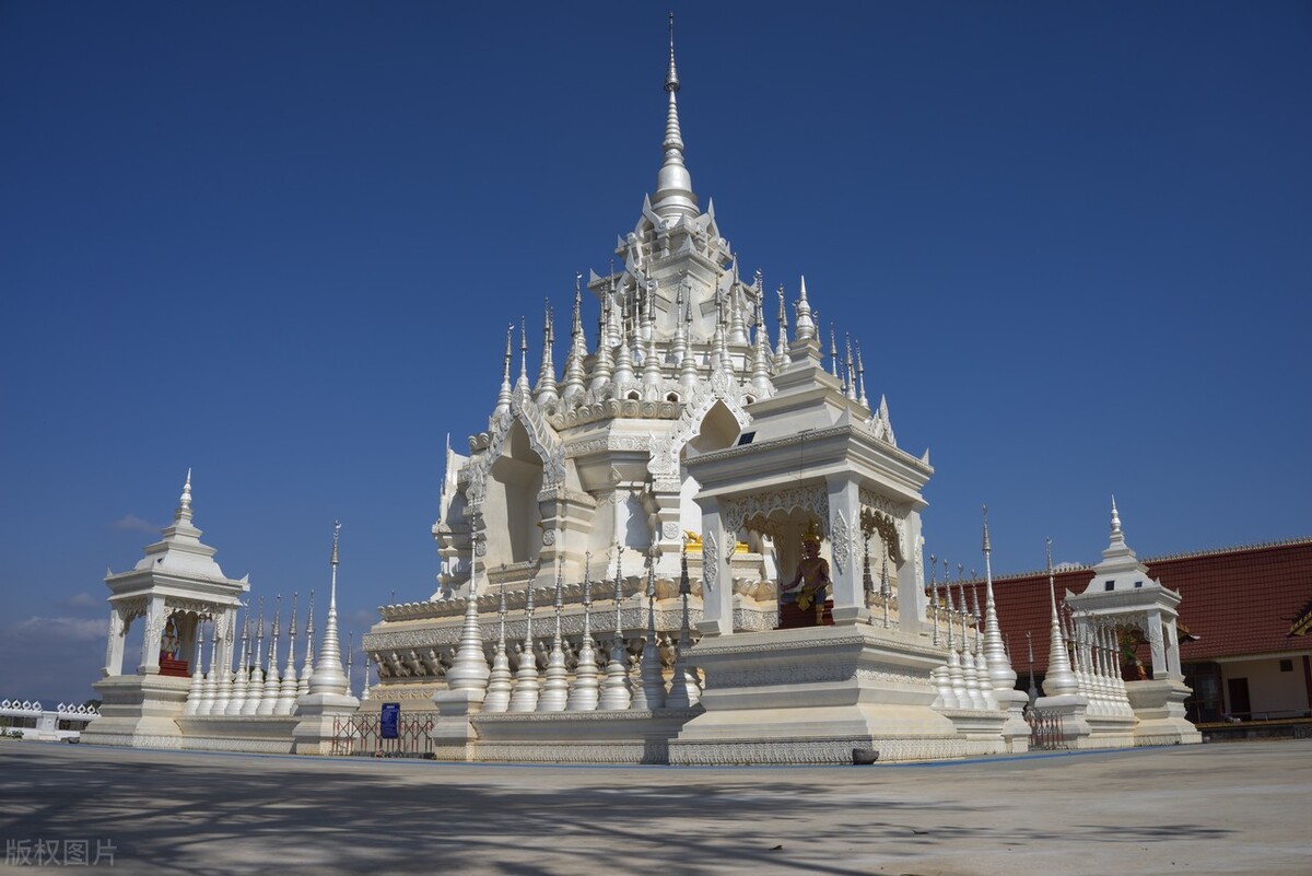 西双版纳望天树景区与热带植物园,西双版纳值得去的四个旅游景点