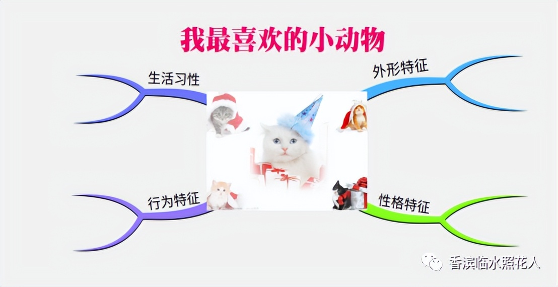 ​「五年级作文“我的心爱之物”」姜奕西《小猫》（二十四）