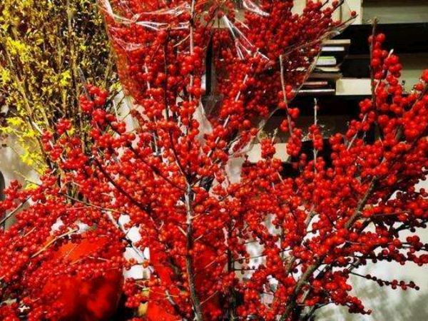 浜洪棿钖勫噳鍞忓槝涓嶅凡,浜洪棿钖勫噳澶╂动璺繙