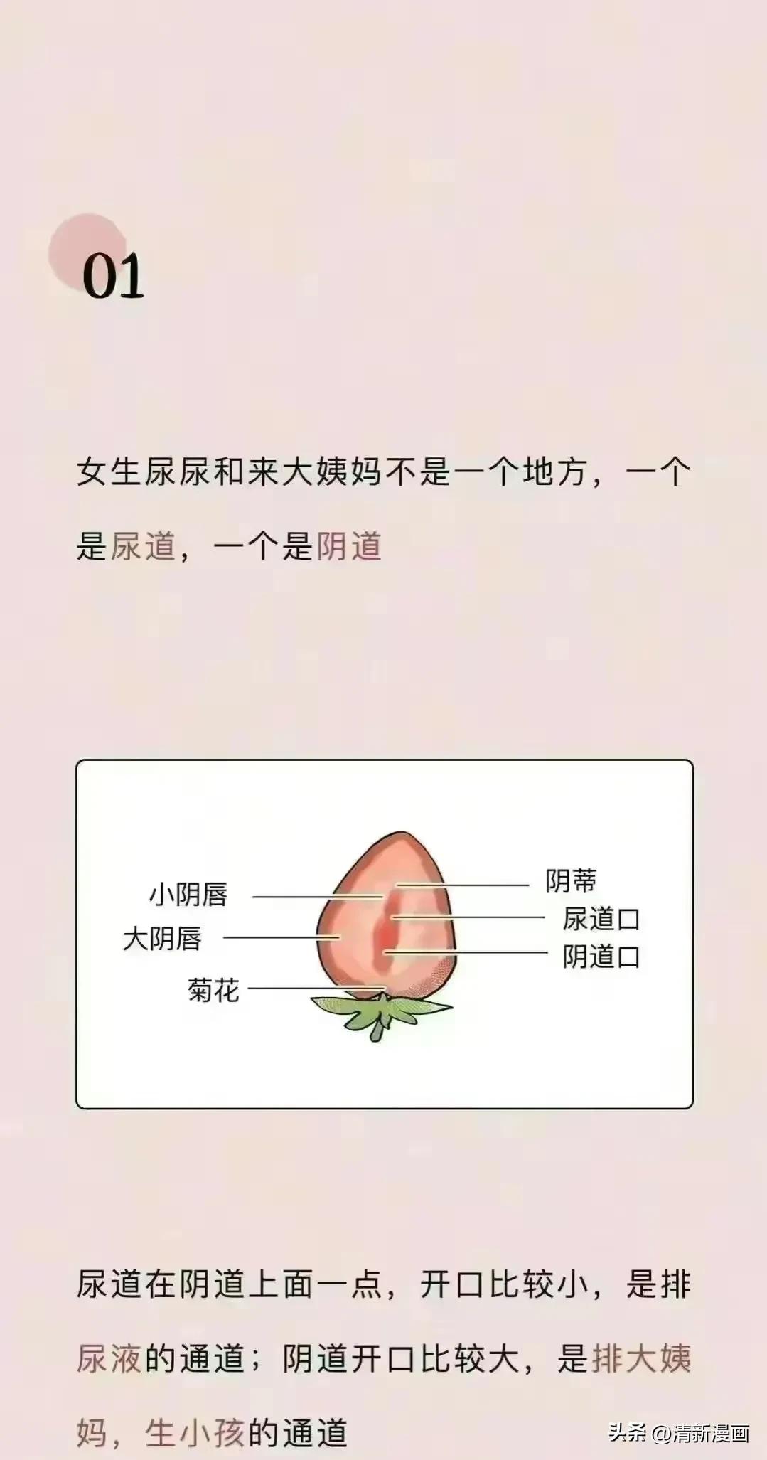 女性阴道生理科普知识大全完整版,女性阴道小知识科普知识大全