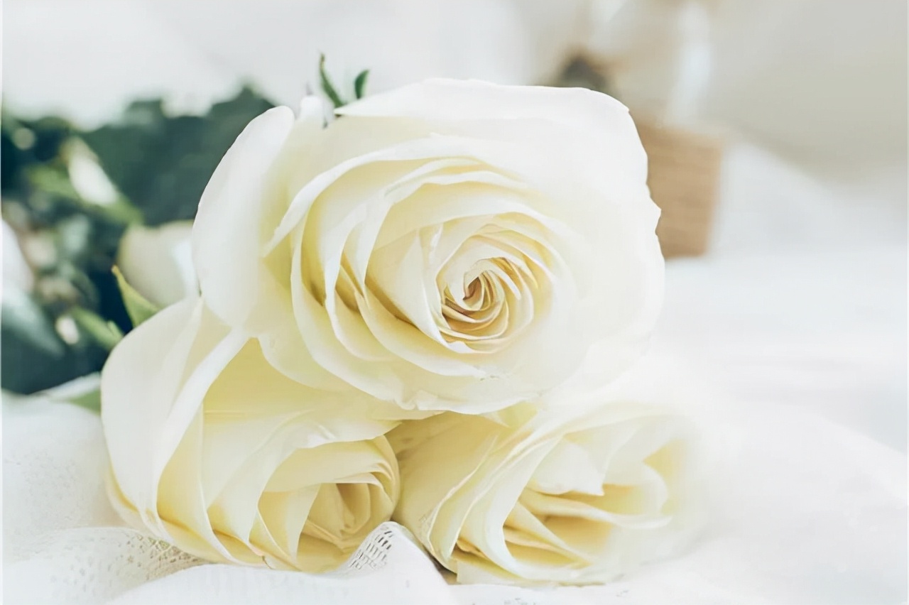 男朋友对自己开始冷淡该怎么做,男友对你冷淡怎么做高情商