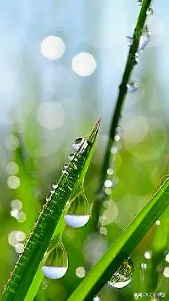 超清超美独一无二手机壁纸图片,养眼养心的壁纸