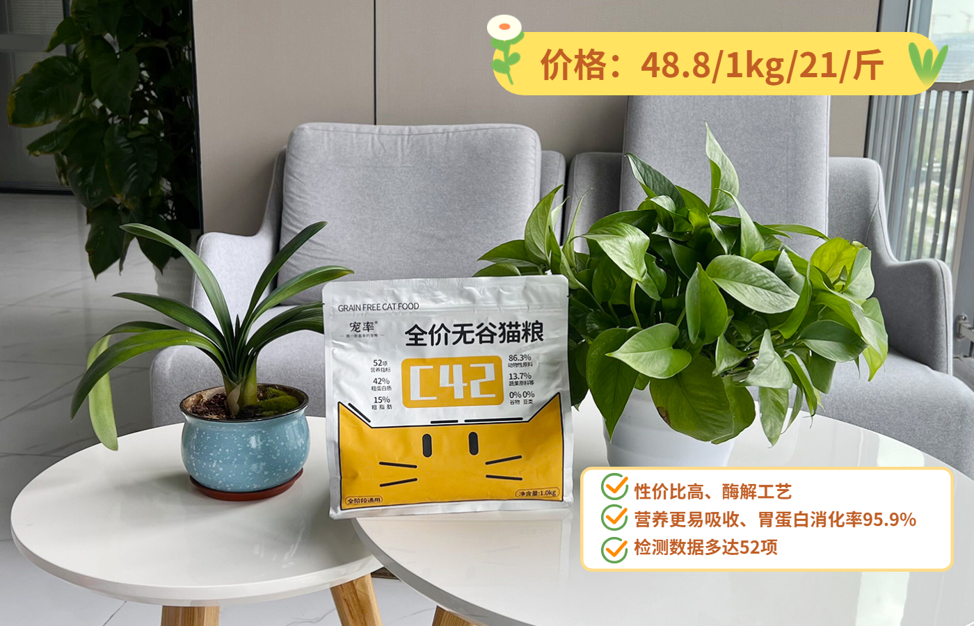 新手养猫可以养加菲猫吗,养加菲猫的十大缺点