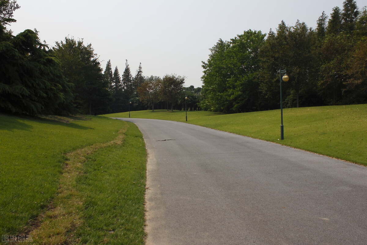 上海附近的森林秘境,上海惊现的森林秘境