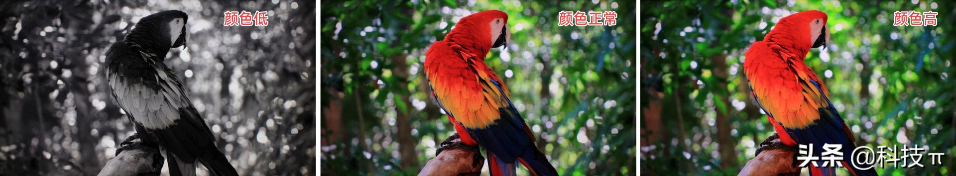 电视怎样调最佳图像,电视怎么调整显示比例