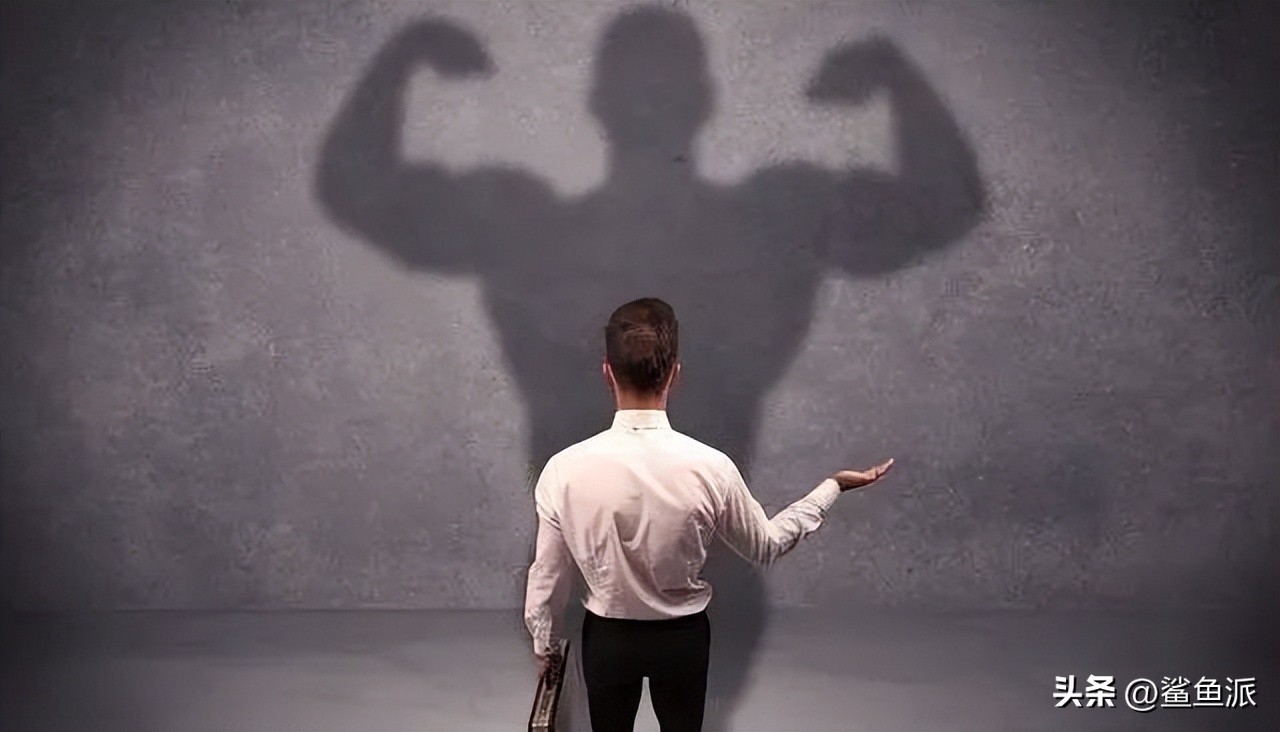 鲨鱼哥创业100例,鲨鱼哥深度思考