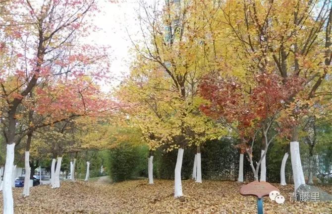 一地烟灰图片,一地烟灰电影