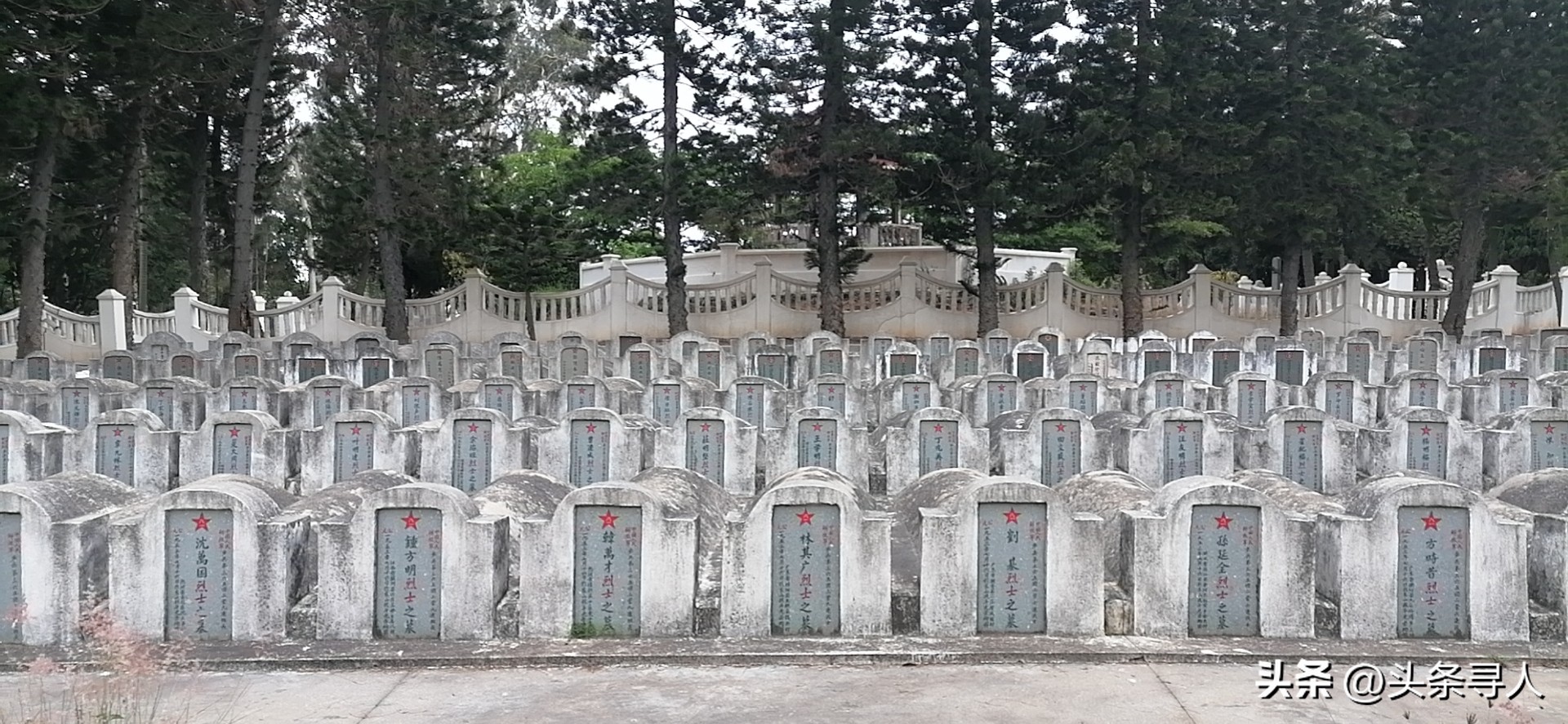 寻找徐姓革命烈士后人,寻找株洲籍烈士