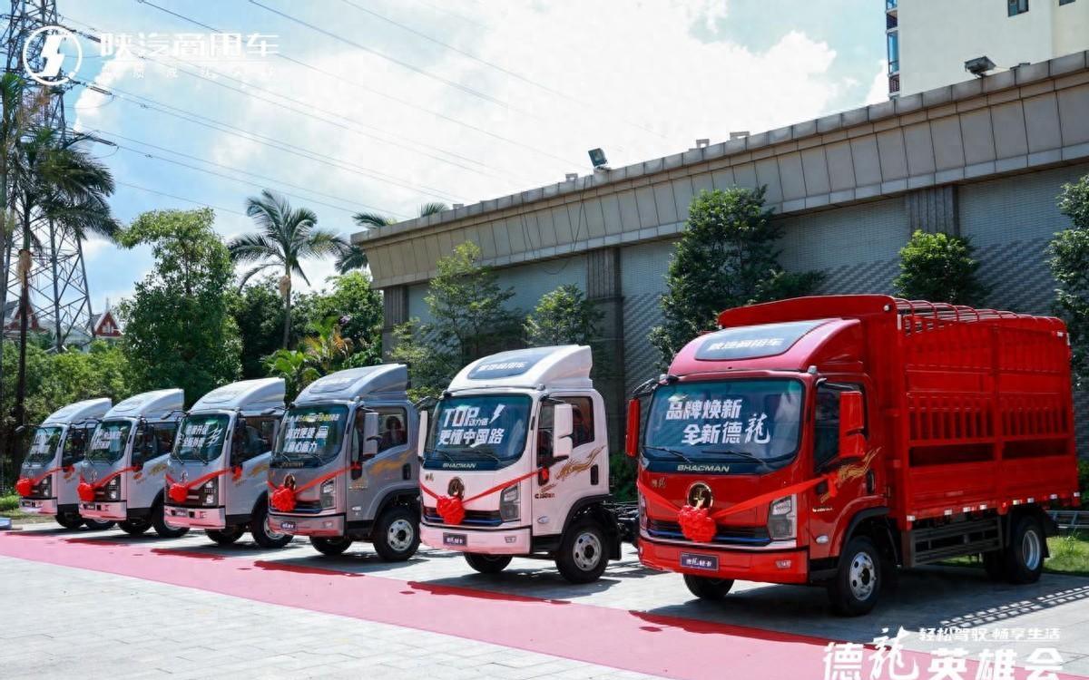 陕汽德龙cng中型卡车,陕汽德龙商用车