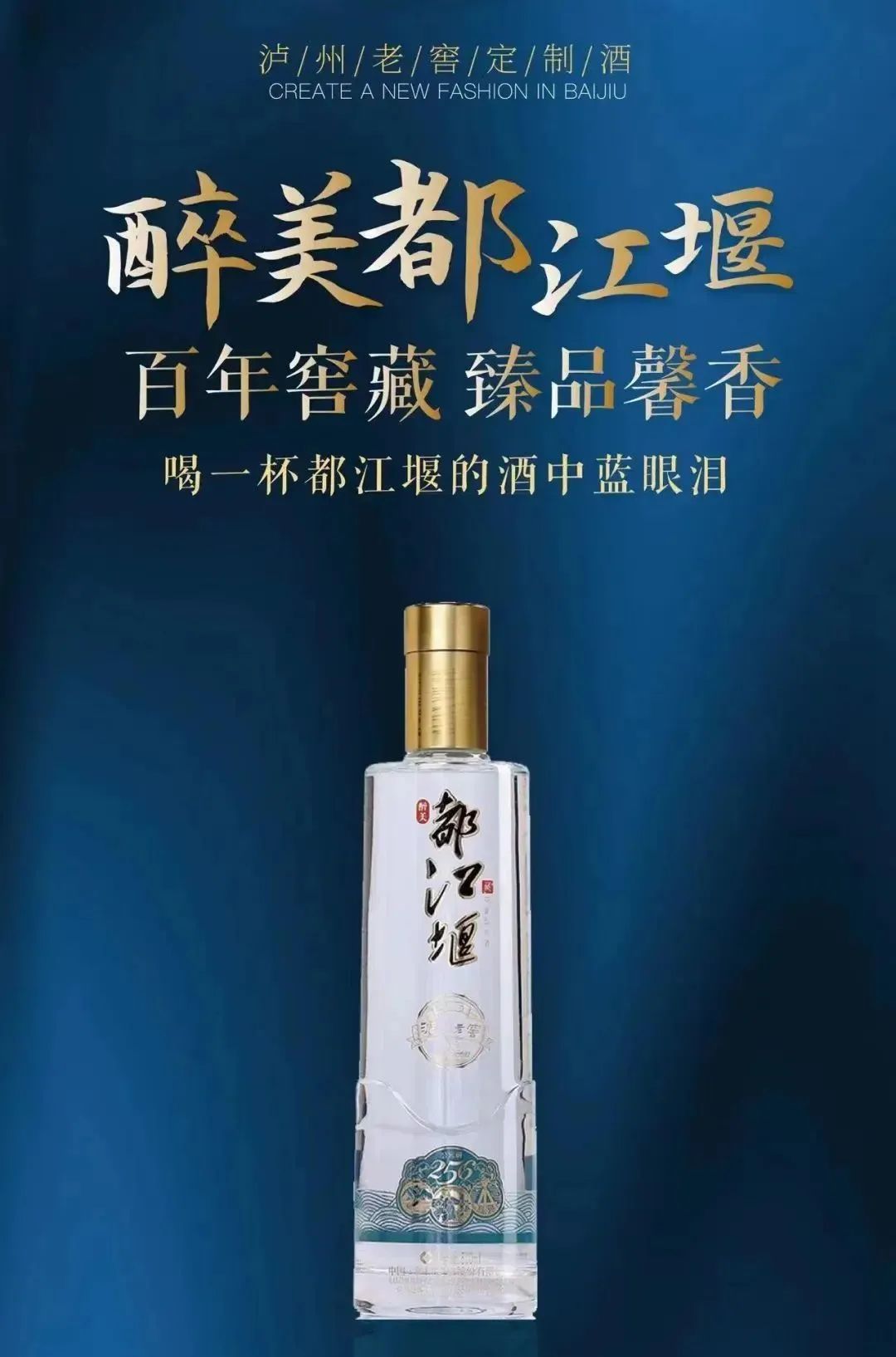 酒城泸州简介,酒城泸州介绍