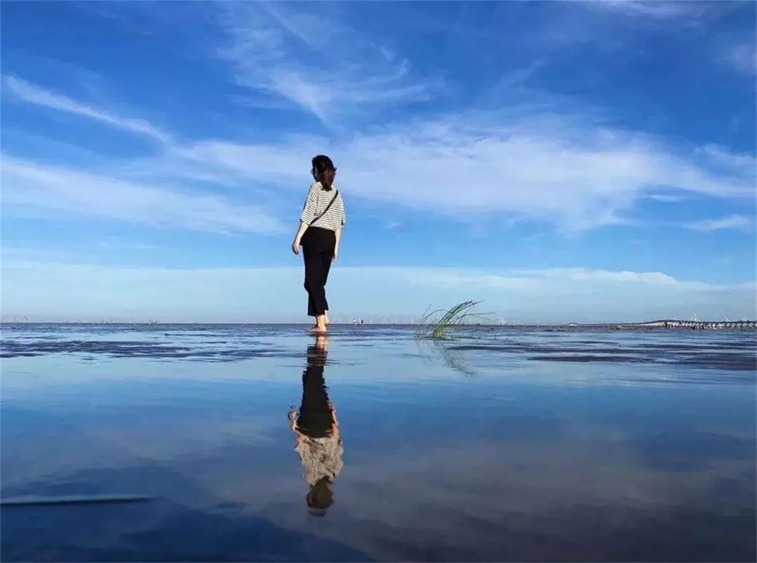 上海看海10大最美海滩浦东,上海海滩景点排名