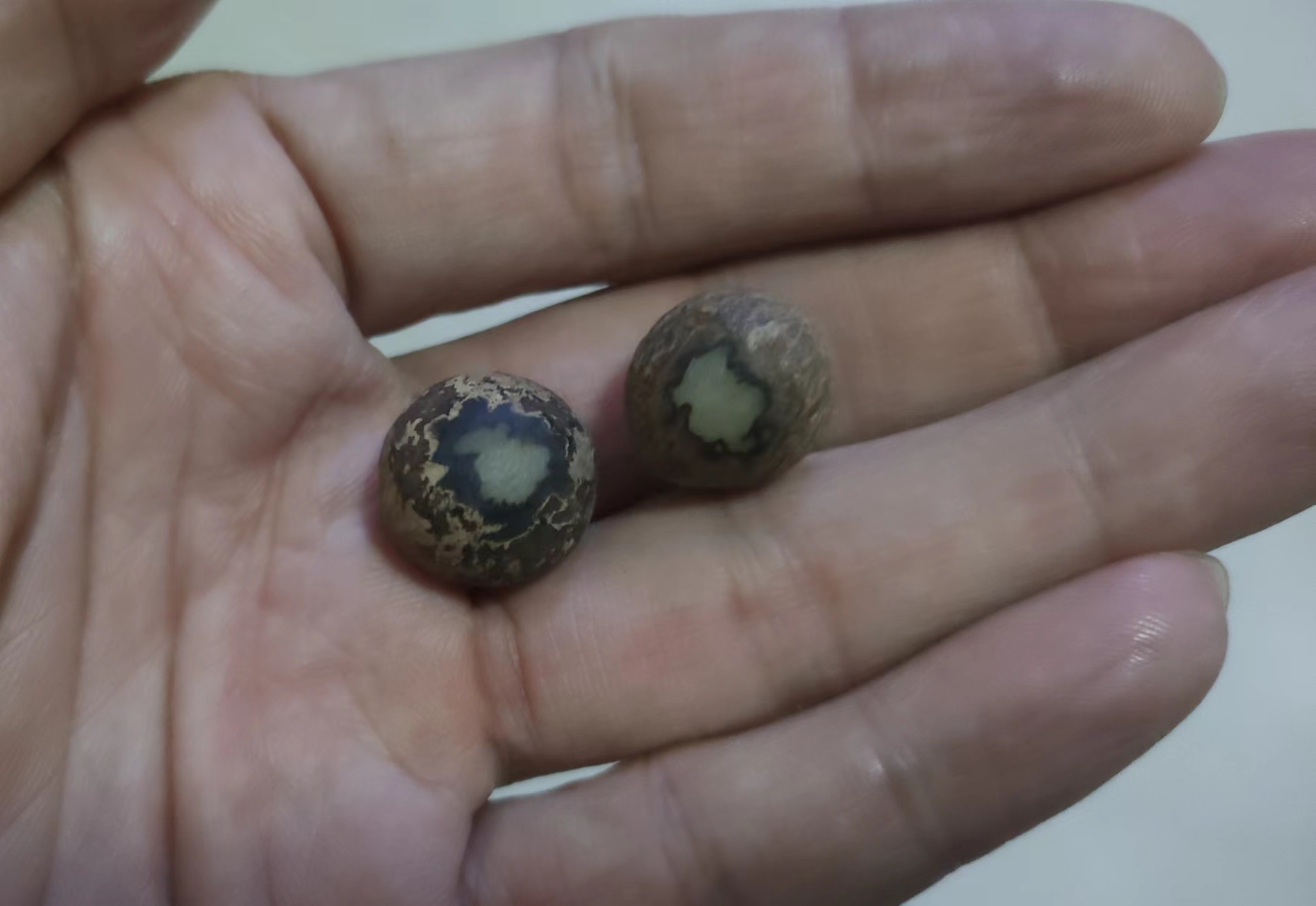 菩提根圆珠手工打磨教程（文玩-工具类）