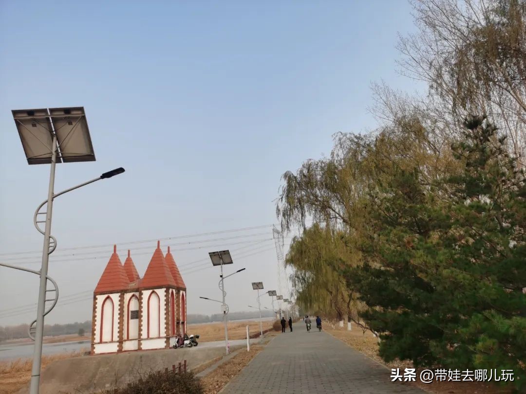 骑行国家森林公园,徒步骑行森林公园