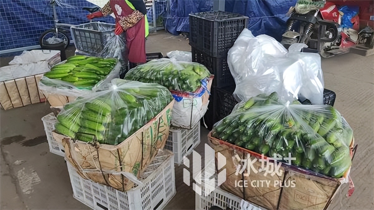 防疫农产品春耕,农批市场防疫保供方案