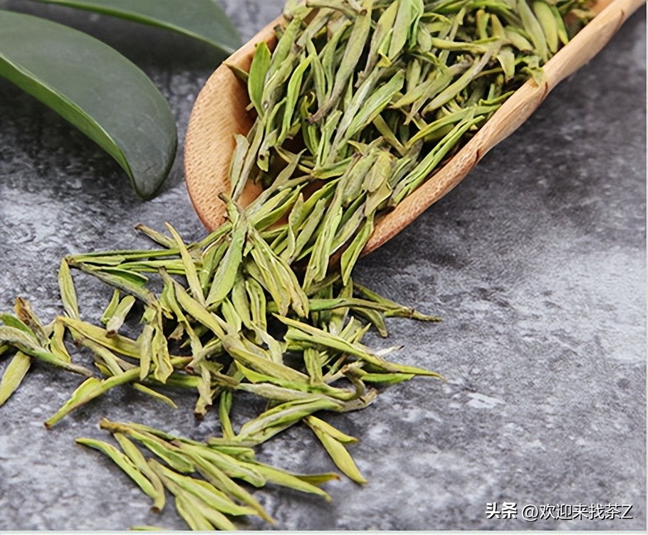 新茶是不是买得越早越好,新茶什么时候买最好