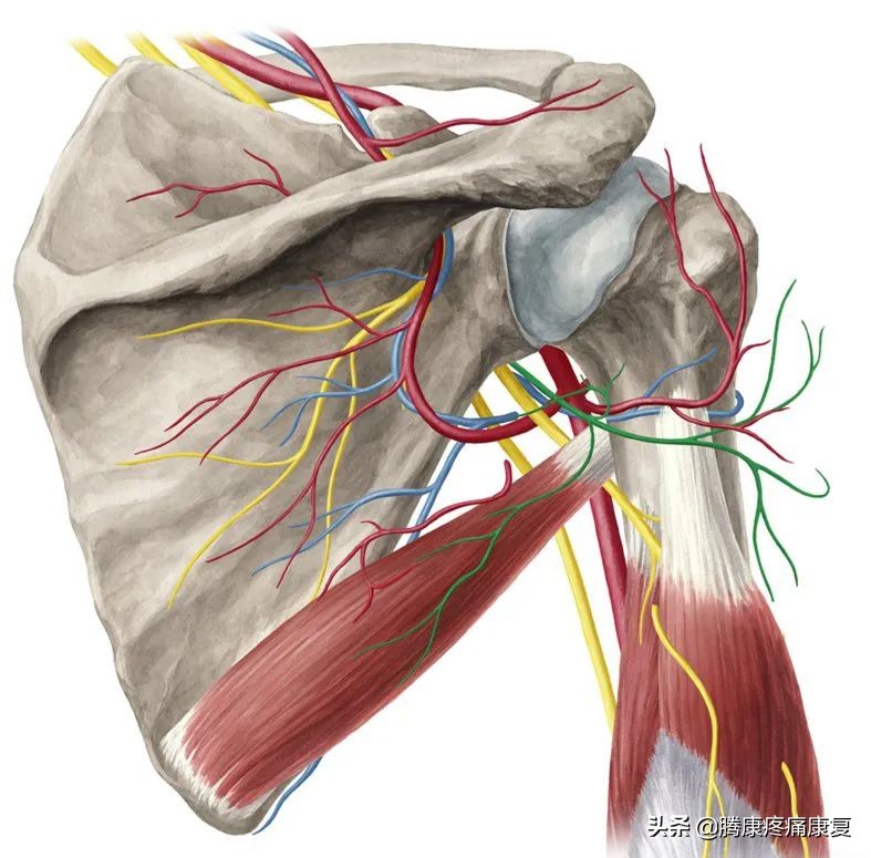 胳膊与肩膀相连处疼痛是什么原因,左胳膊上臂疼痛是什么原因造成的