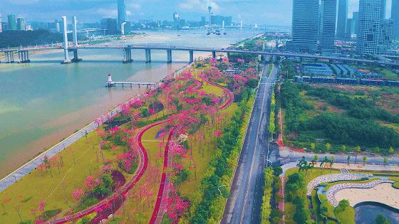 新岛民,新岛民海南生活