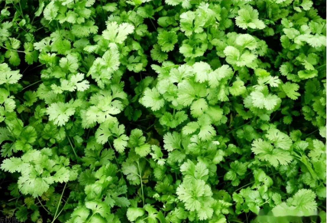 食品中铝残留和含铝添加剂有关吗,铝食品添加剂的危害