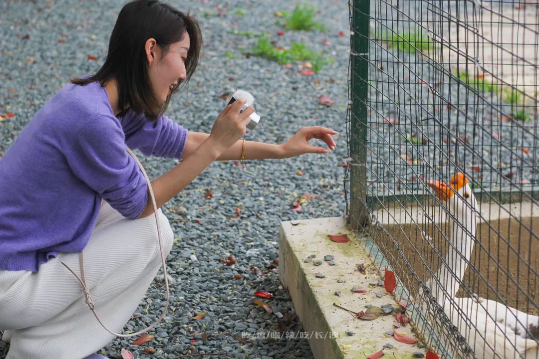 长沙攻略避开人群,收藏长沙