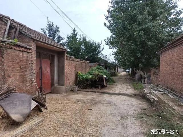 写给老岳母的一篇祭文,一篇写给天堂母亲的祭文感人肺腑