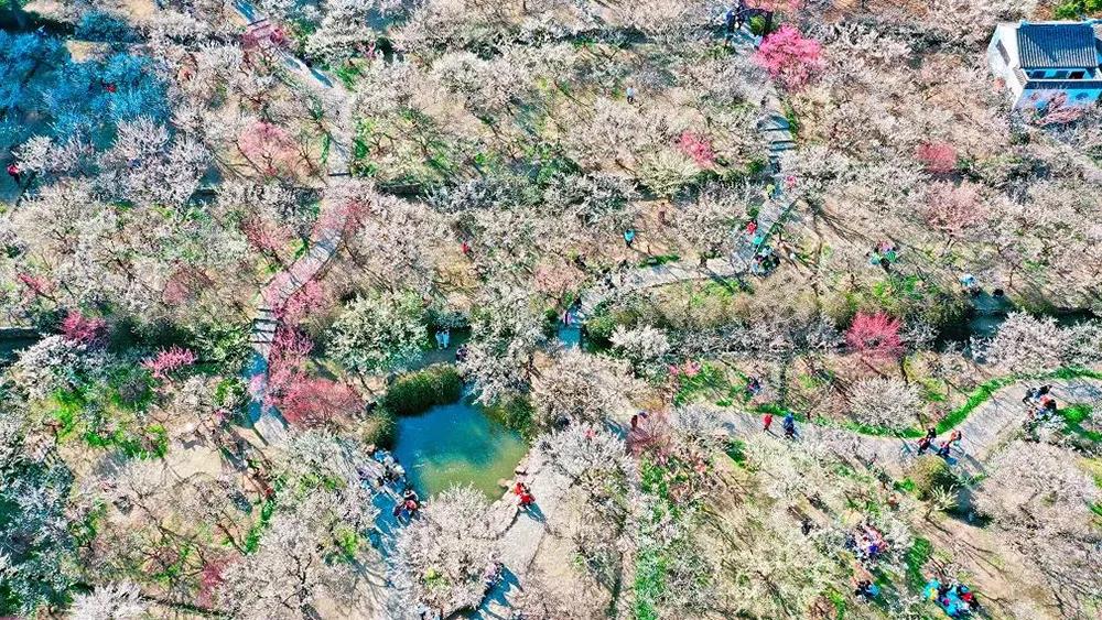 预测刷屏！疫情今春有望结束？适合2月去的18个大美山河准备好了