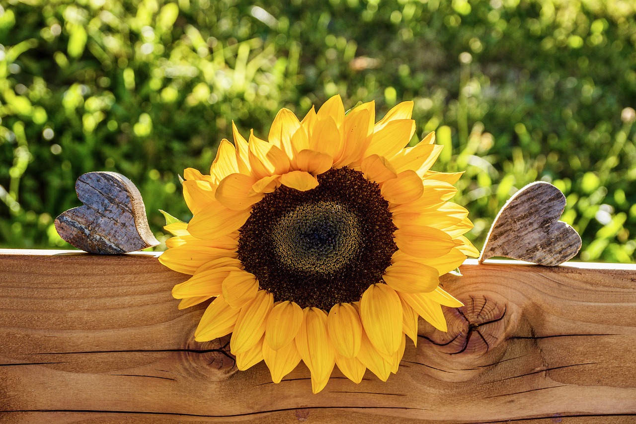 喜欢一个人才知道什么是爱情动力,喜欢一个人才知道什么是爱情