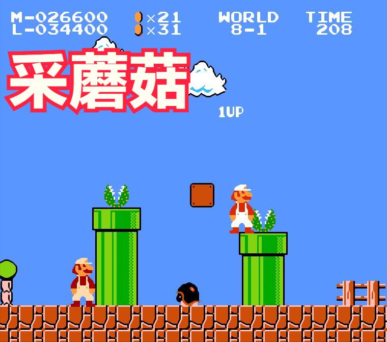 红白机山寨游戏卡带,红白机反盗版