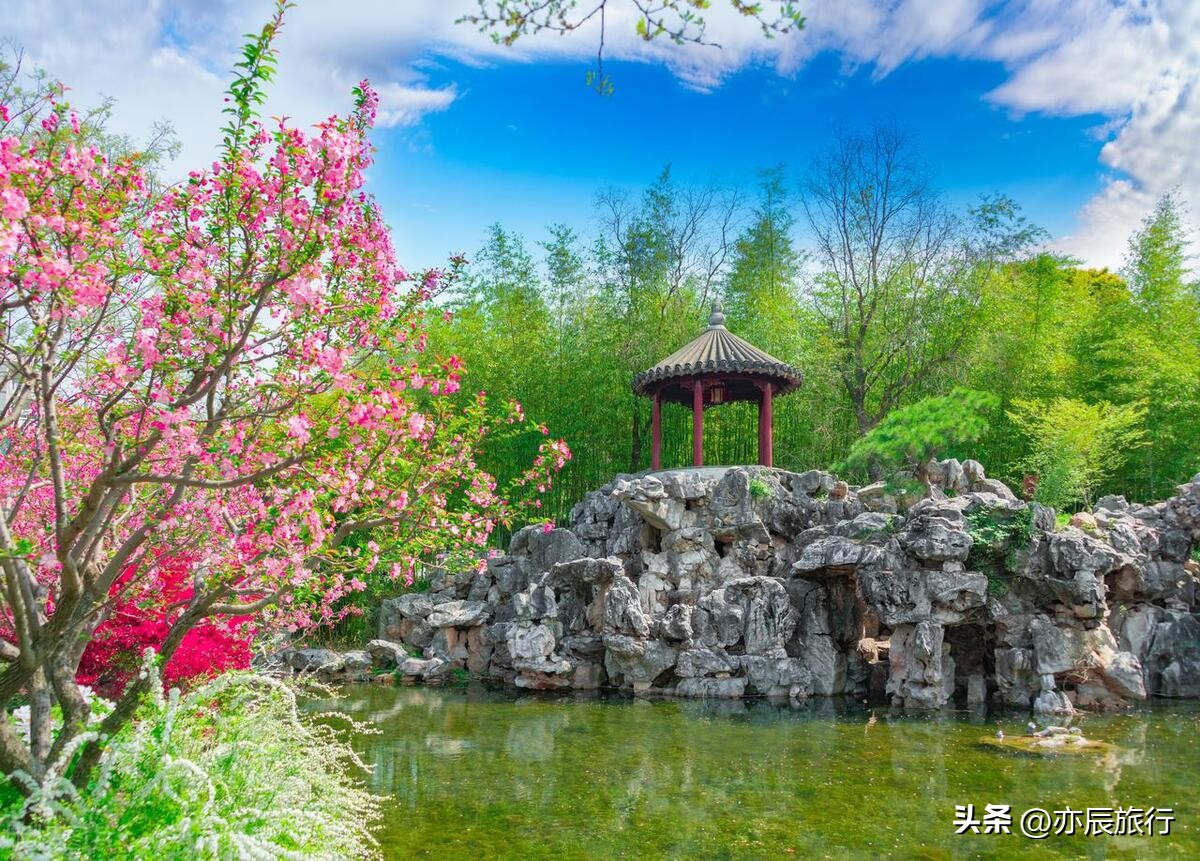 上海周边旅游攻略景点最新,上海周边最新旅游推荐景点