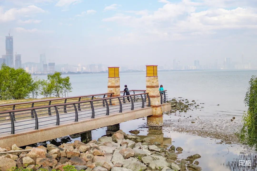 不输大小梅沙！深圳这片海太惊艳