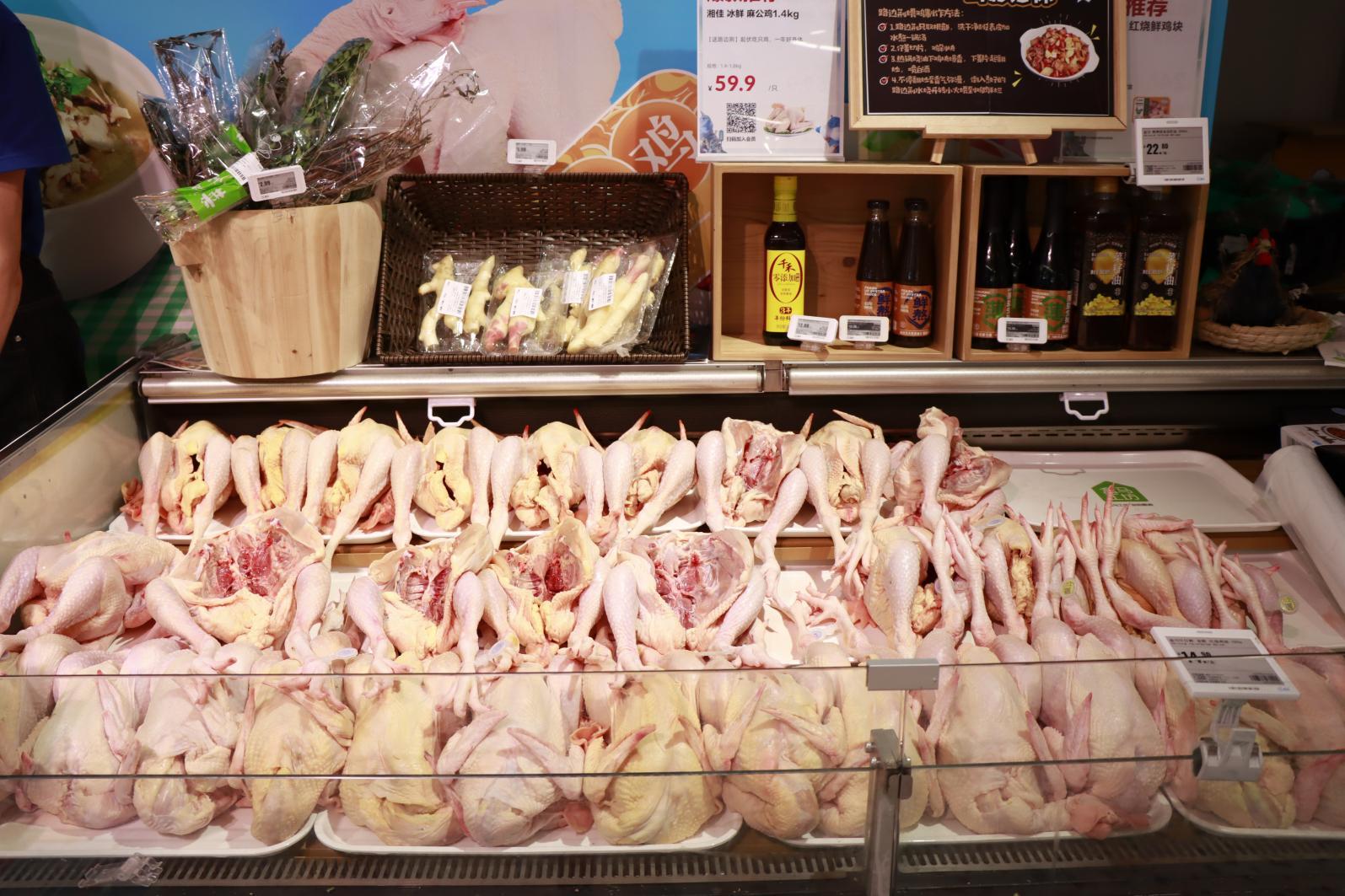 湖南三伏天吃鸡,入伏吃鸡