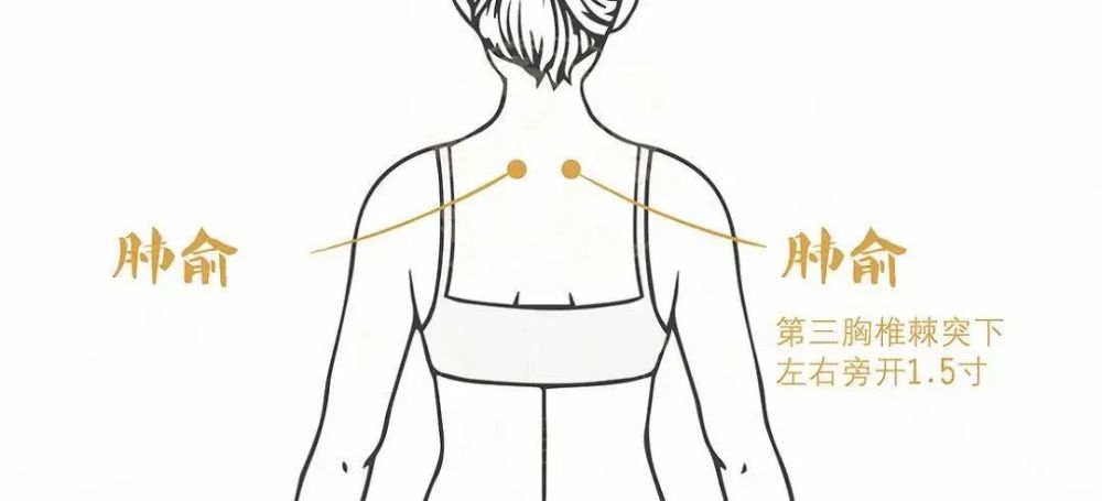 支气管炎,痰黄黏、痰中带血丝?讲一张方子,平喘清肺,轻松化解