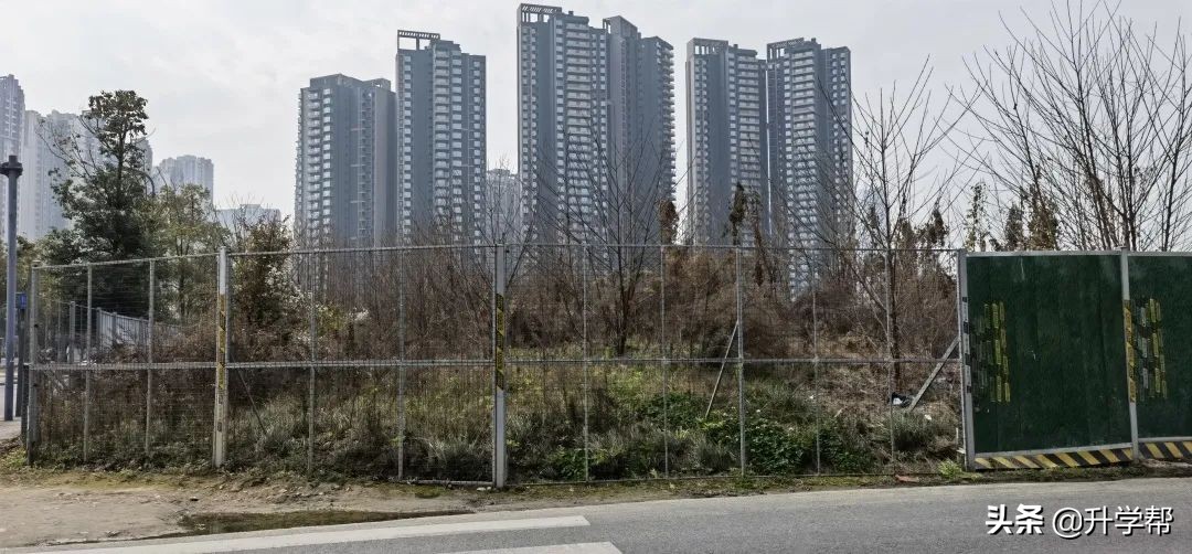 天府新区3所标杆学校,成都天府新区学校有哪些