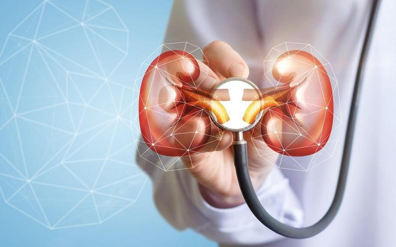 类风湿合并肝病怎么治疗,类风湿合并肾炎怎么治疗