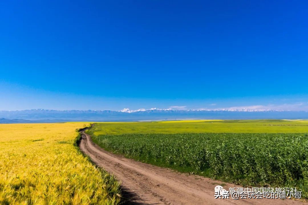 新疆南疆最有必要去的旅游胜地,新疆唯一没有戈壁的县