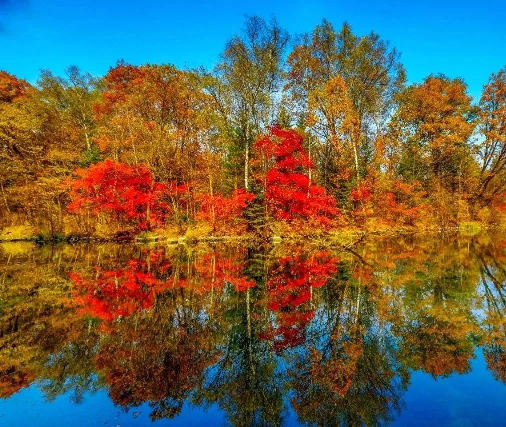 夏季延边旅游最佳路线推荐,延边最新活动消息