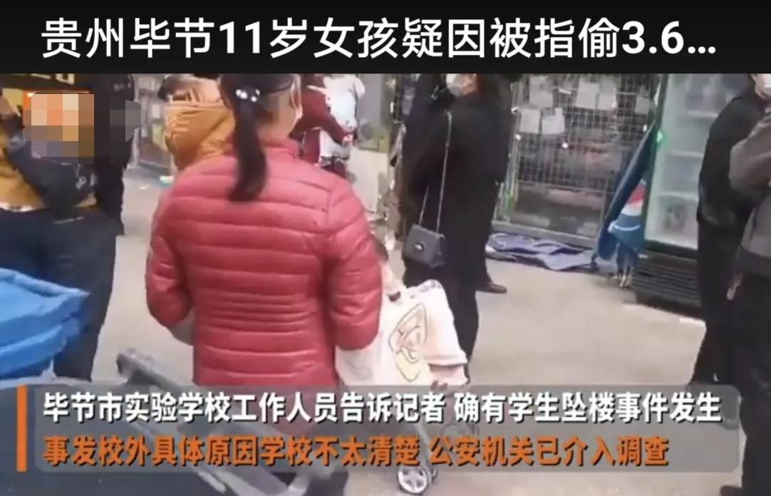 网传李少莉纱巾价值仅44元！贵州11岁少女被指偷文具跳楼自证清白