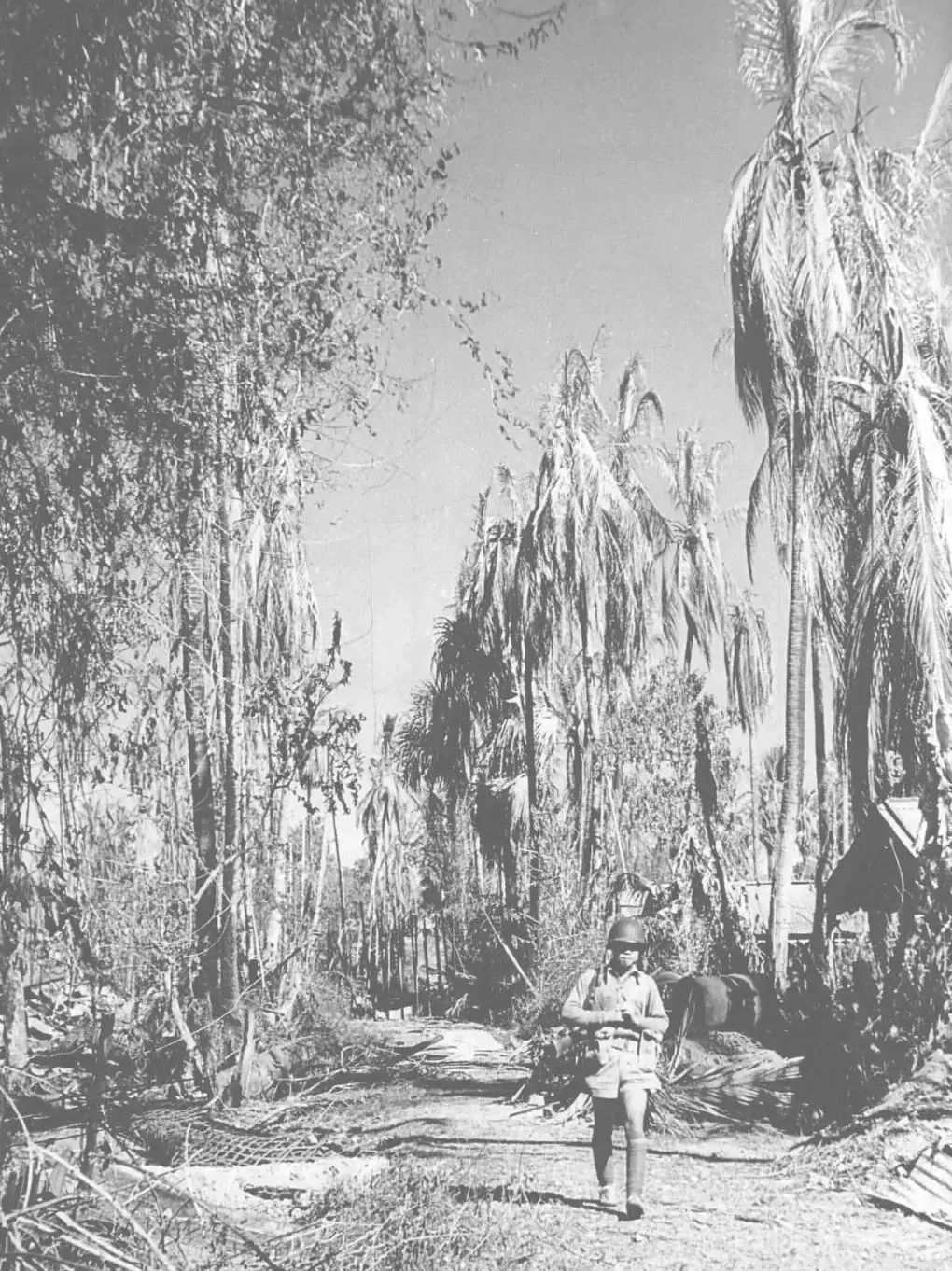 翻越驼峰后，我的译员生活