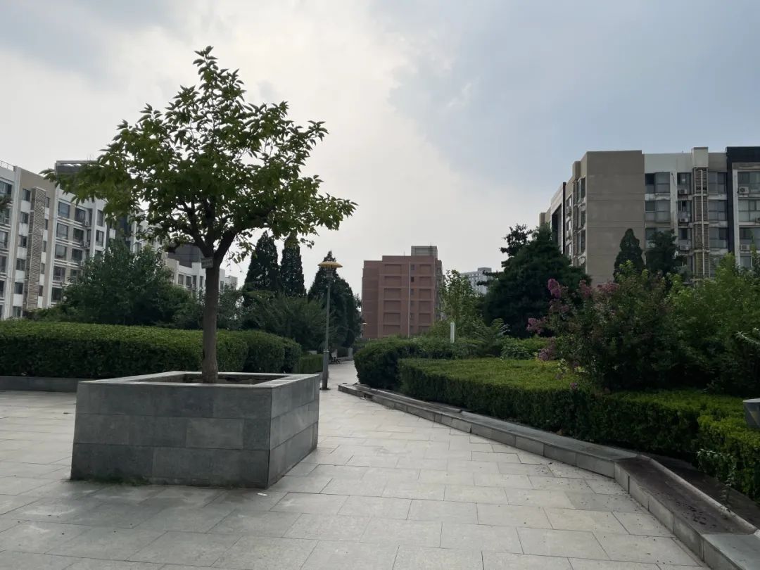 深度｜“烤验”玻璃穹顶：看起来很美，用着也要美