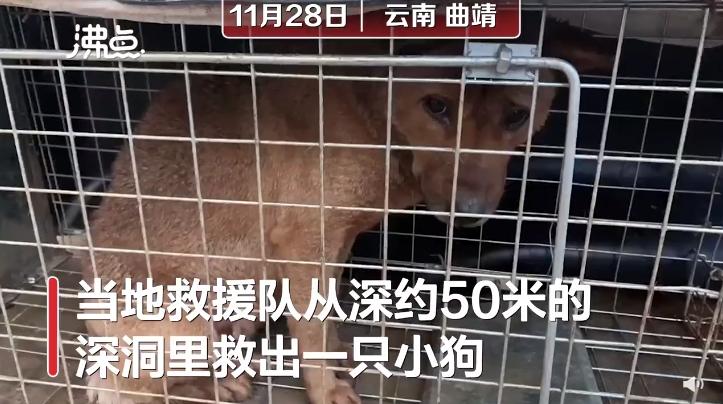 宝宝要学会爱护小动物绘本,教会幼儿如何保护动物的绘本故事