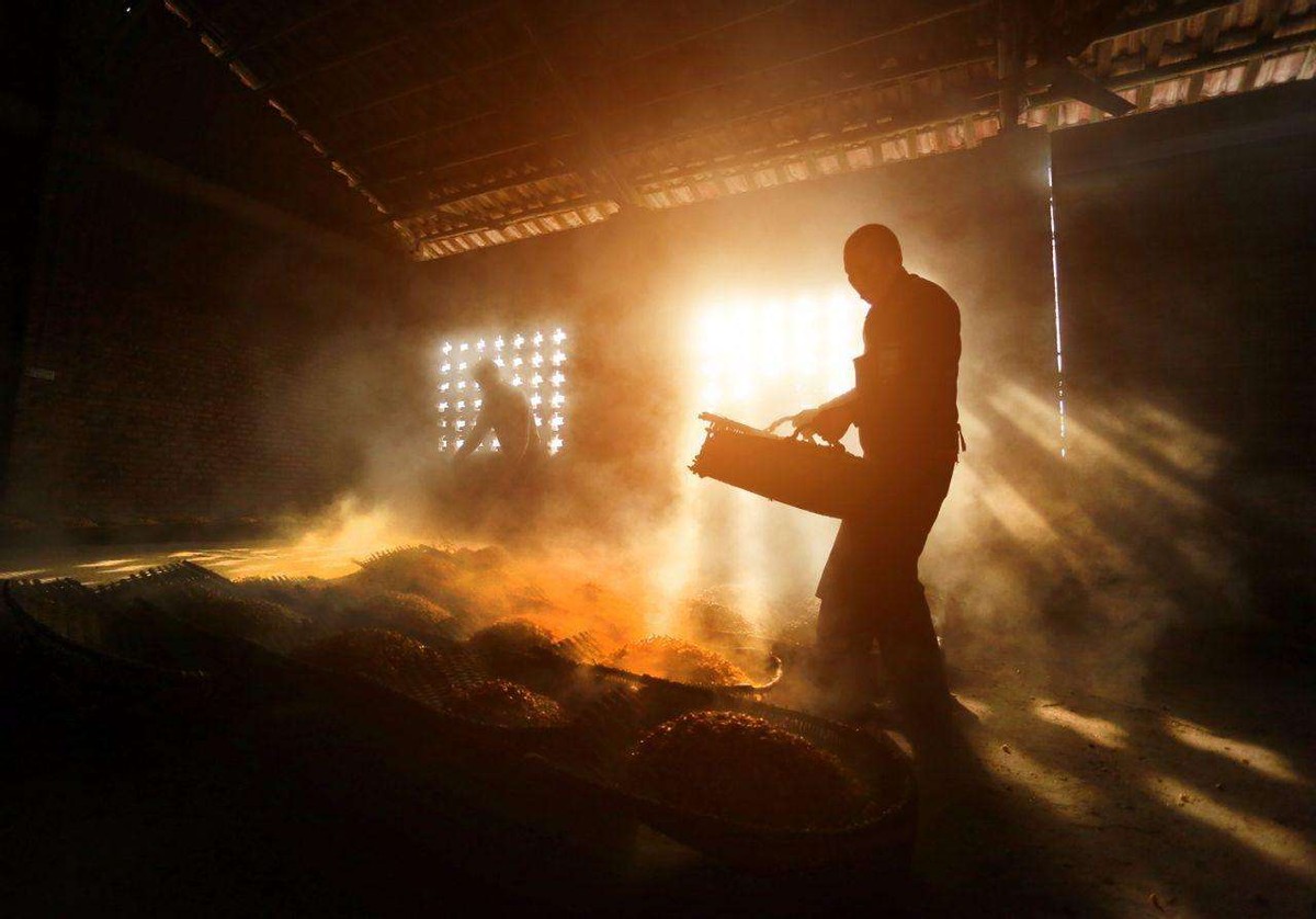 低价咖啡正在掠夺市场，高端真的不香了？把握关键这头驴3月过亿