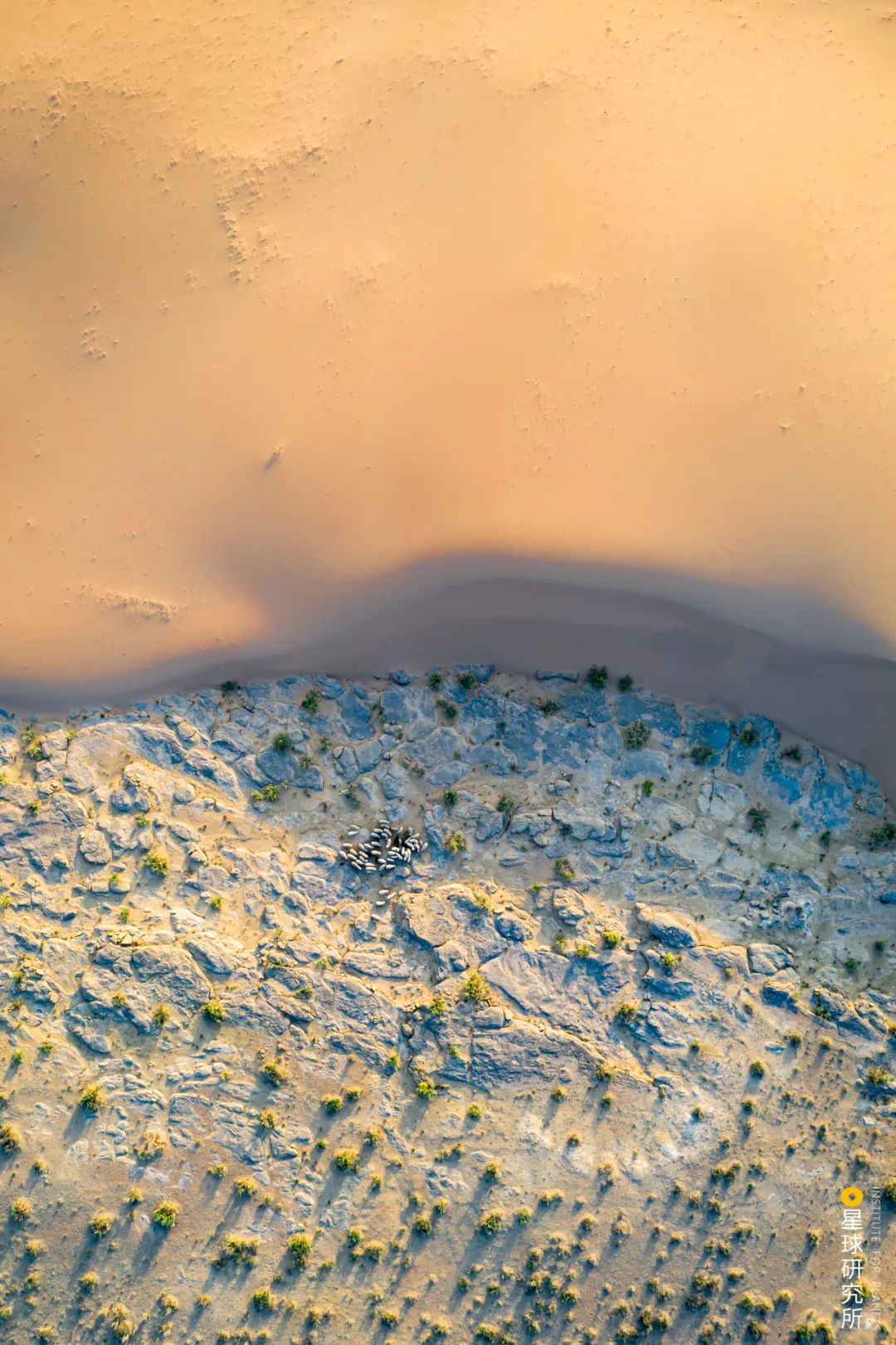 什么鬼城市,煤炭鬼城