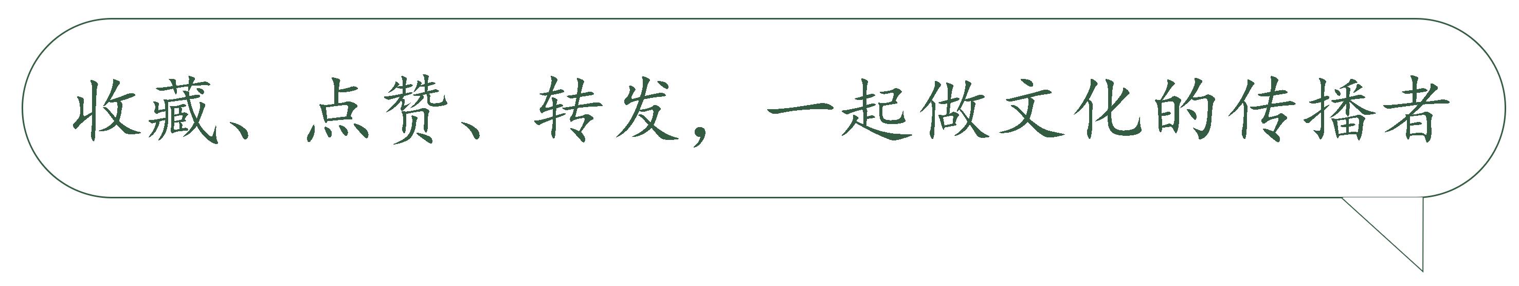白茶的鲜爽究竟藏在哪里,白茶的迷人魅力是什么样的