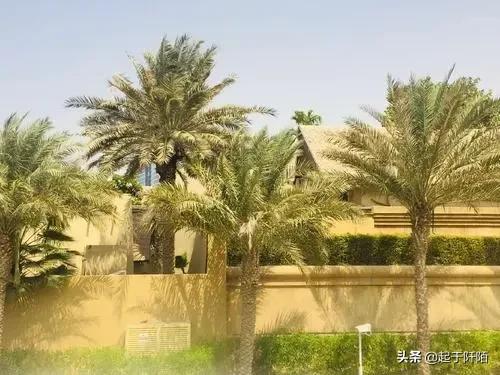 迪拜真实现状图片欣赏,迪拜真实情况视频