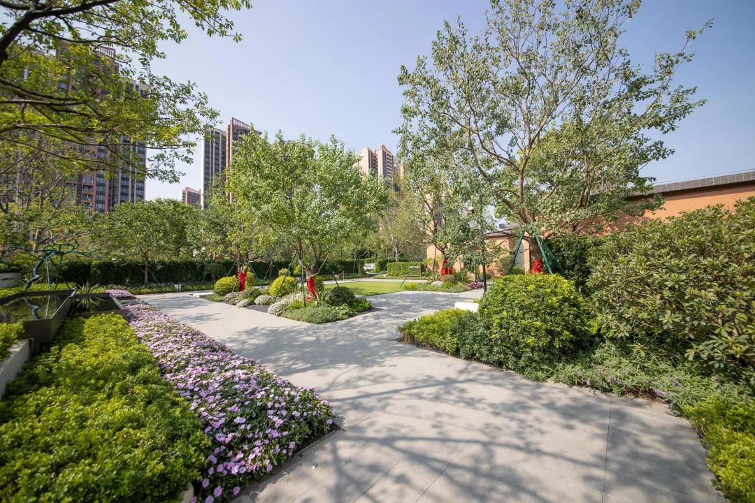 断货王69元12双,断货王119平洋房即将加推