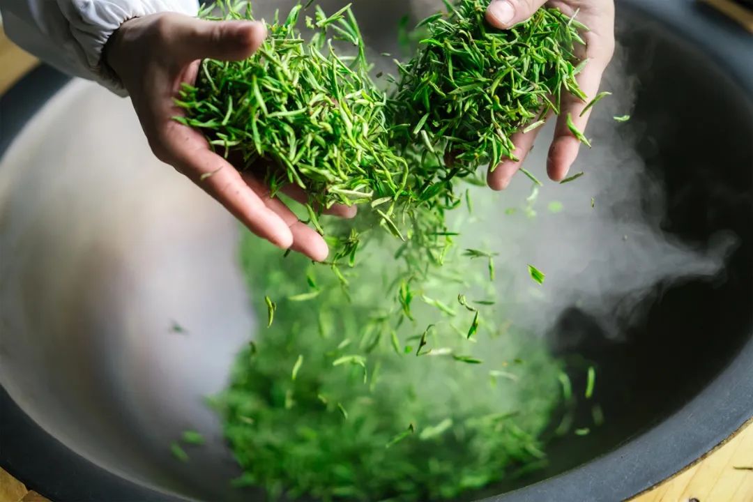 绿茶种类大全介绍,高档龙井绿茶有哪些种类