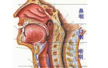 最适合放疗的癌症,哪种肿瘤需要放疗