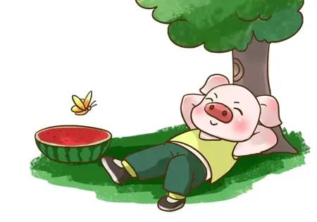 两只猪买西瓜的故事