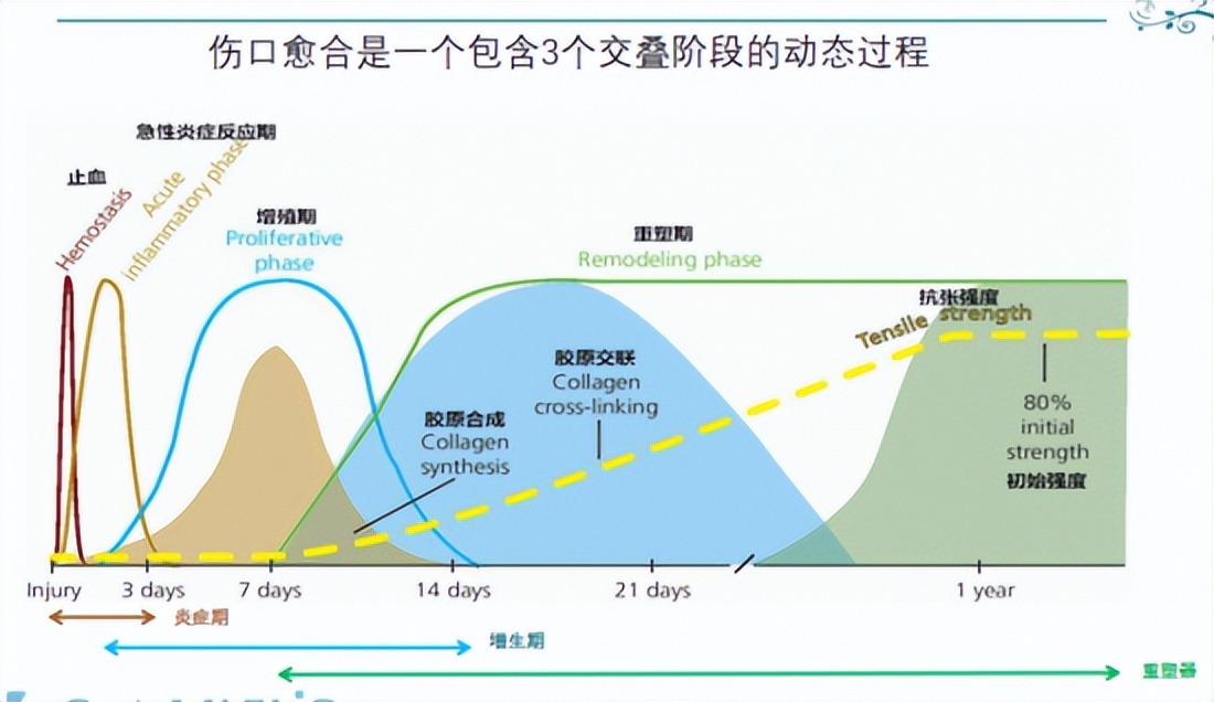 怎样防止伤口留疤,孩子伤口如何防止留疤